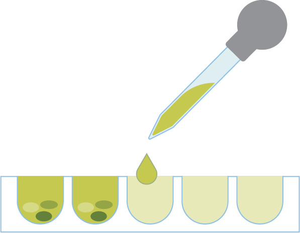 Depiction of the selective breeding process used to optimize the natural organisms for fast and robust growth.